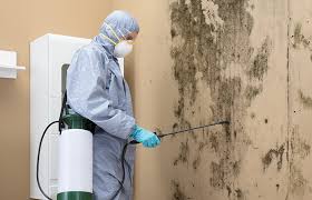 Best Real Estate Mold Inspection  in Marseles, IL